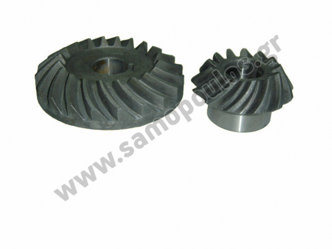 ΚΟΡΩΝΑΚΙΑ ΕΛΙΚΟΕΙΔΗ ΧΟΡΤΟΚΟΠΤΙΚΟΥ